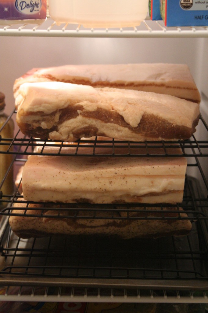 Bacon in the fridge forming a pellicle