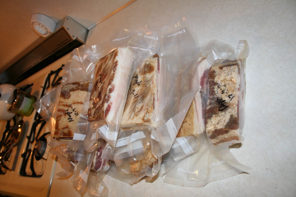 Finished bacon, vacuum sealed and ready for the freezer Finished bacon, vacuum sealed and ready for the freezer