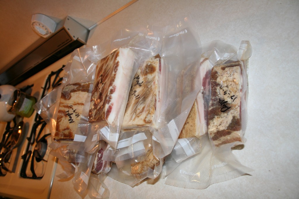 Finished bacon, vacuum sealed and ready for the freezer