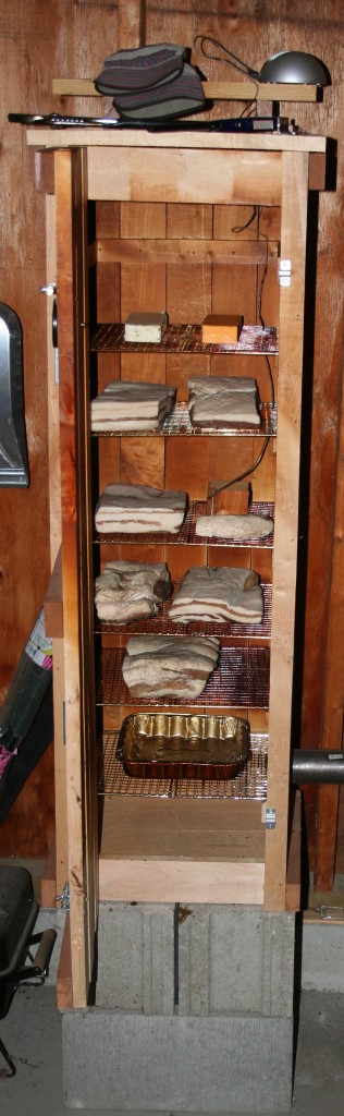 Bacon in the smoker ready for a long day of smoking Bacon in the smoker ready for a long day of smoking