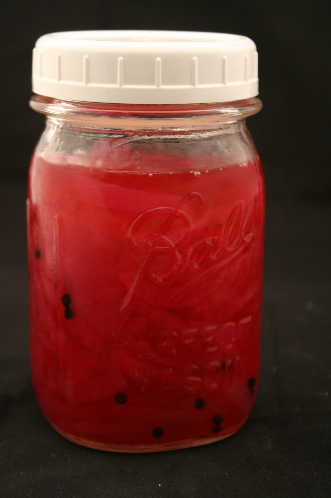 Pickled Red Onions